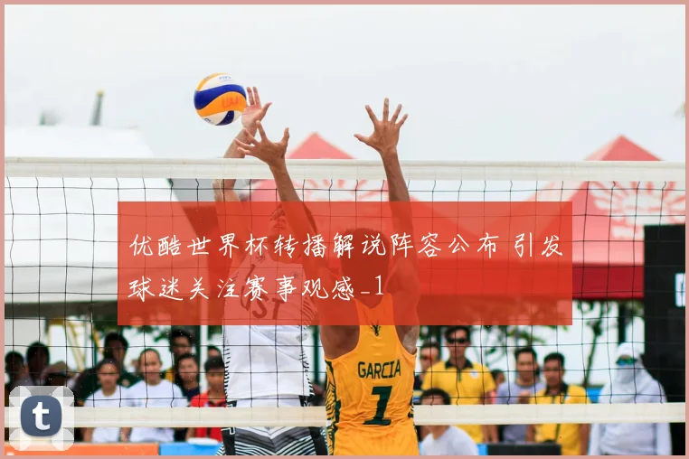 优酷世界杯转播解说阵容公布 引发球迷关注赛事观感_1