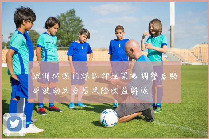 欧洲杯热门球队押注策略调整后赔率波动及分层风险收益解读