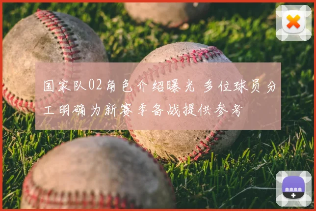 国家队02角色介绍曝光 多位球员分工明确为新赛季备战提供参考