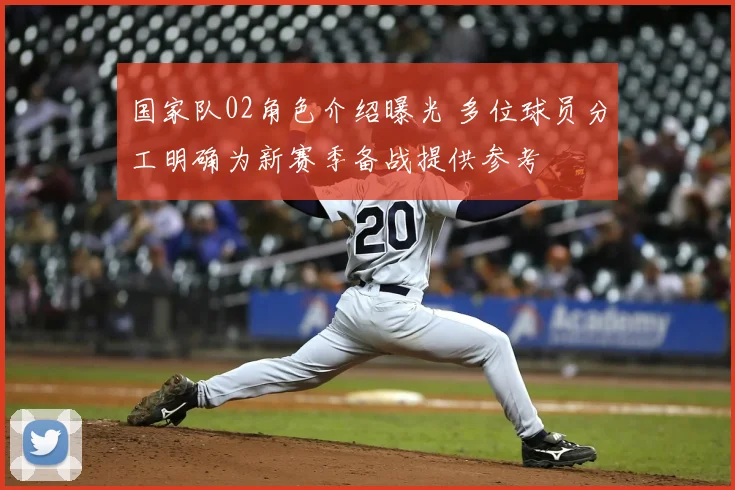 国家队02角色介绍曝光 多位球员分工明确为新赛季备战提供参考